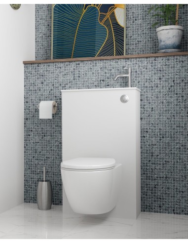 PACK  WC DUO SIAMP