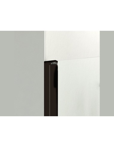 PARE BAIGNOIRE FRONTAL FIXE+PIVOTANTE DIM 120CM OPEN 2 GME