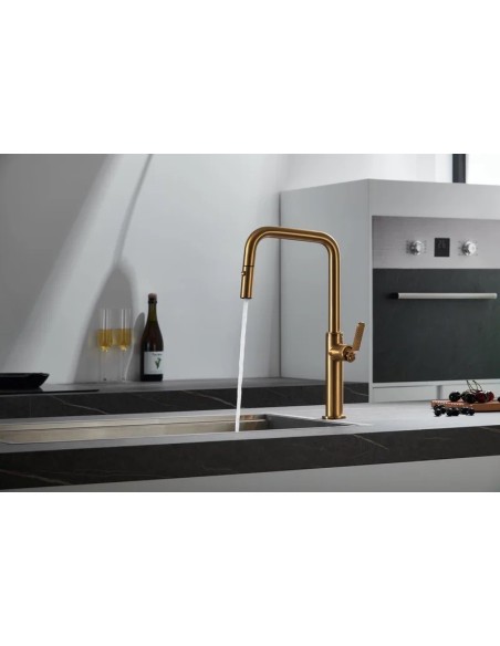 MITIGEUR CUISINE AMOVIBLE AVEC MOUSSEUR DOUBLE JET  NIZA IMEX