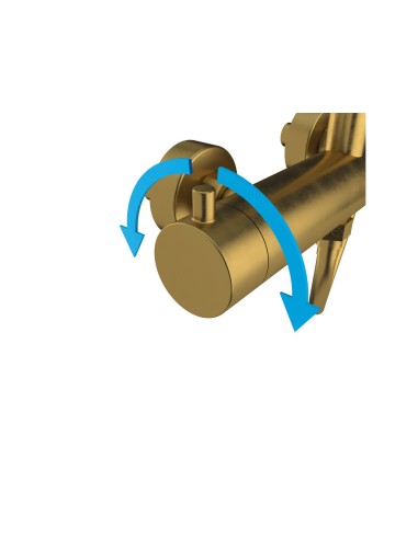 COLONNE DE DOUCHE MITIGEUR INVERTER R OR
