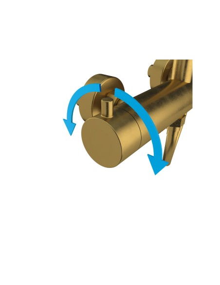 COLONNE DE DOUCHE MITIGEUR INVERTER R OR