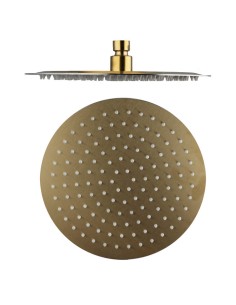 TÊTE DE DOUCHE ACIER INOX ROND 25 OR