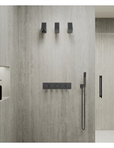Pack mitigeur thermostatique multi-fonctions avec pommeau orientable Gun métal - Sirius