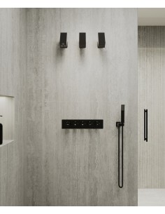 Pack mitigeur thermostatique multi-fonctions avec pommeau orientable Noir - Sirius