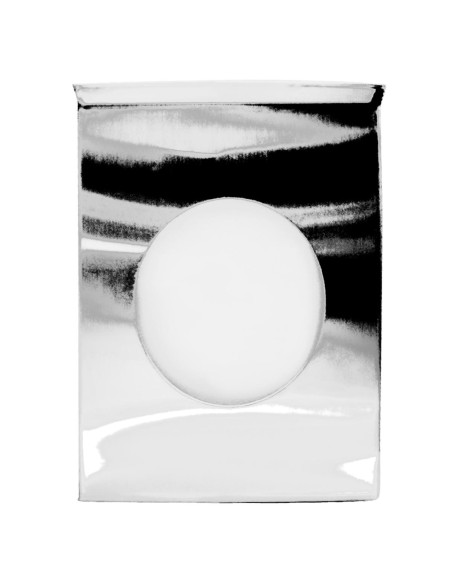 Distributeur de sachets hygiénique en ACIER INOXYD ABLE brillant