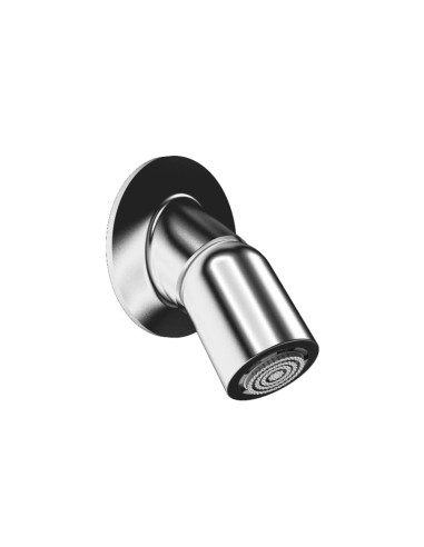 Pomme de douche orientable. Débit standard