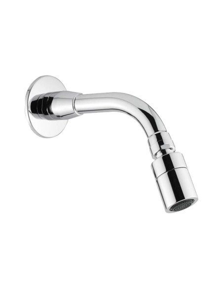 Pomme de douche murale orientable. Débit standard