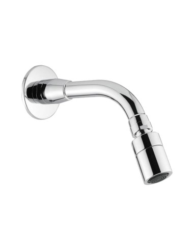 Pomme de douche murale orientable. Débit Leed