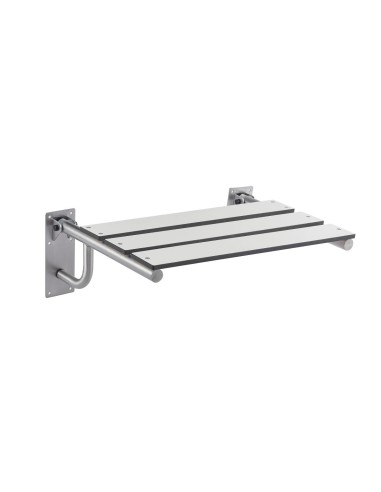 Avec assise en lames phénoliques en acier inox AISI 304 satiné
