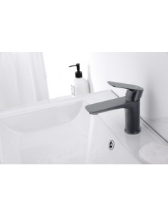 MITIGEUR LAVABO CASSIO TITANE 2