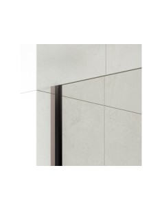 Paroi de douche fixe verre 8 mm avec bras | Sanitshop Plus 2