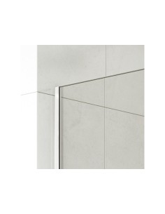 Paroi de douche fixe verre 8 mm avec bras | Sanitshop Plus 2