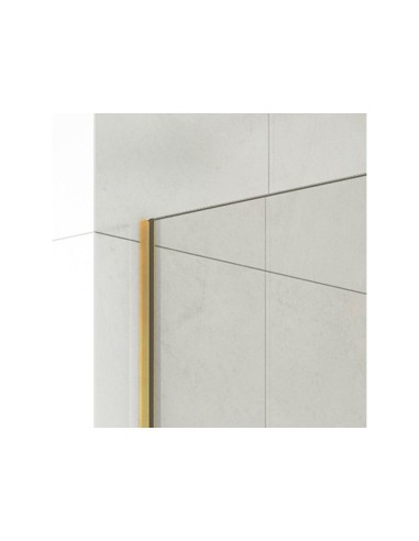 Paroi de douche fixe verre 8 mm avec bras | Sanitshop Plus