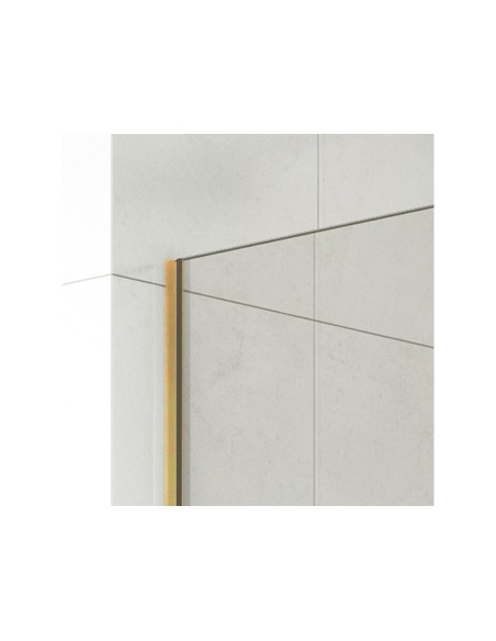 Paroi de douche fixe verre 8 mm avec bras | Sanitshop Plus