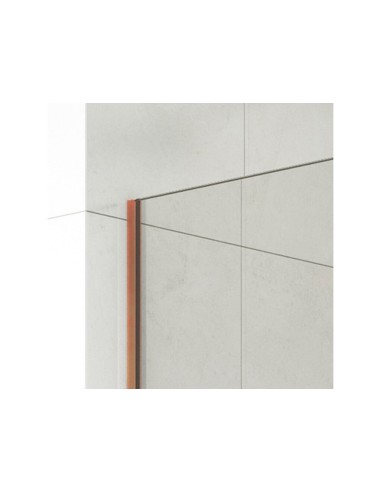 Paroi de douche fixe verre 8 mm avec bras | Sanitshop Plus