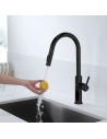 Mitigeur cuisine noir douchette extractible Inox | Sanitshop