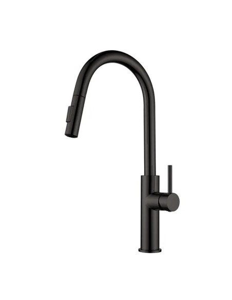 Mitigeur cuisine noir douchette extractible Inox | Sanitshop