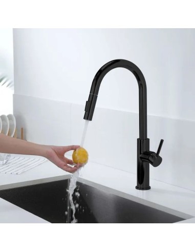 Mitigeur cuisine noir douchette extractible Inox | Sanitshop