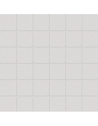 CARRELAGE MOSAIQUE DIM 5*5  FULL BODY CESI