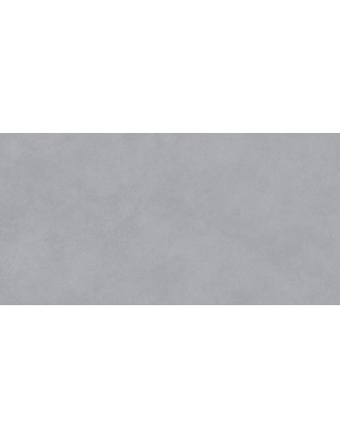 CARRELAGE DIM 60*120 ESS HABITAT PRISSMACER