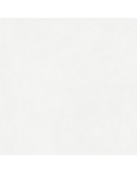 CARRELAGE FRES CERAME DIM...